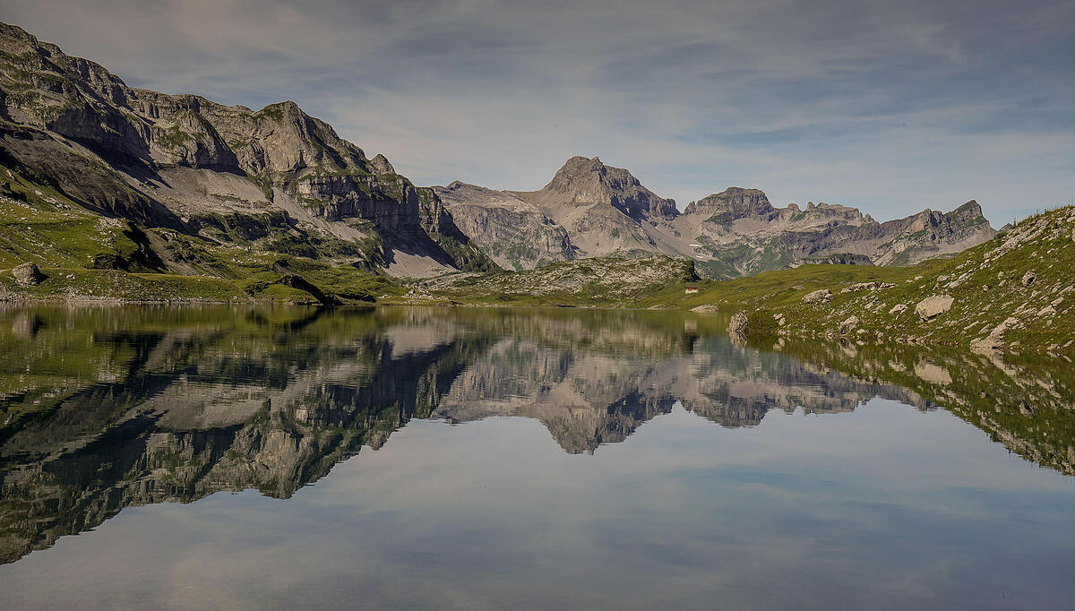 Nach den Enten nun die Ruderer | Schwyz BdU | Bote der ...