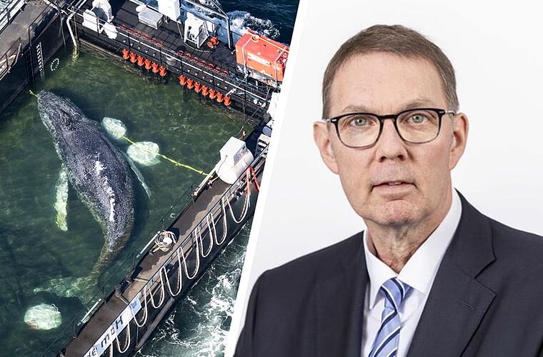 Peter Timmy Timmy: Tierschutz-Präsident Peter V. Kunz rechnet mit Helfern ab