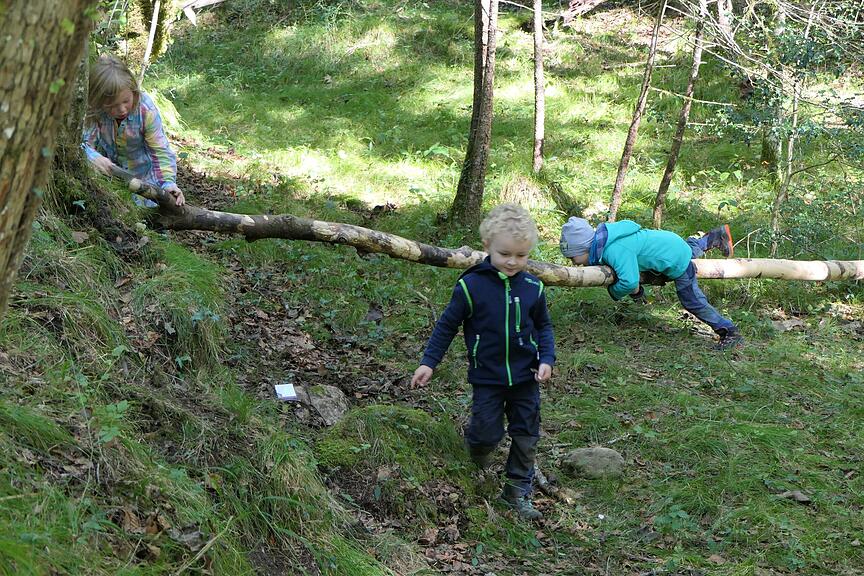  Foto zu 14 Giswiler Kindergartenkinder werden im Wald unterrichtet 
