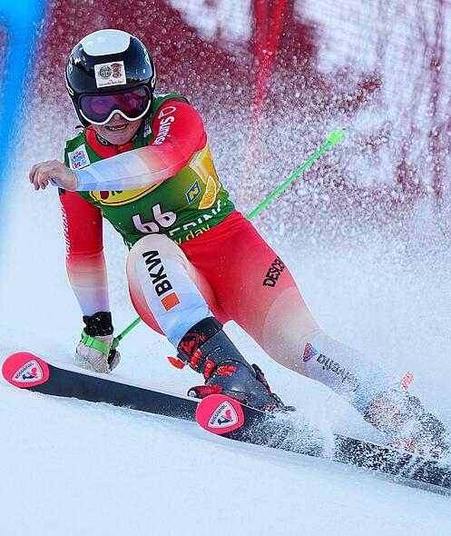 Daniela Ceccarelli Alle aktuellen Nachrichten, Infos & Bilder