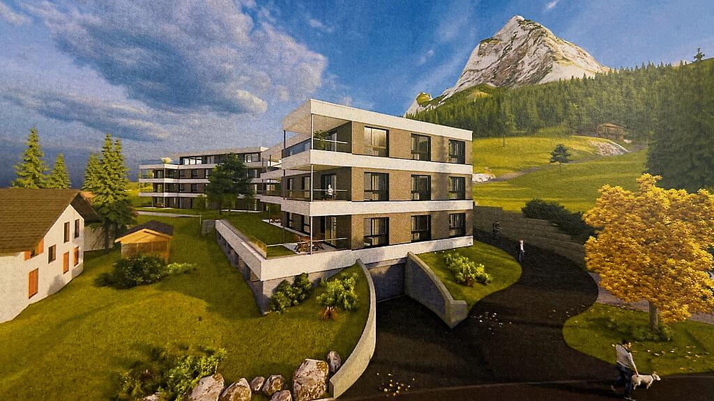 Hier an der Rickenbachstrasse 213 sollen zwei Mehrfamilienhäuser gebaut ...