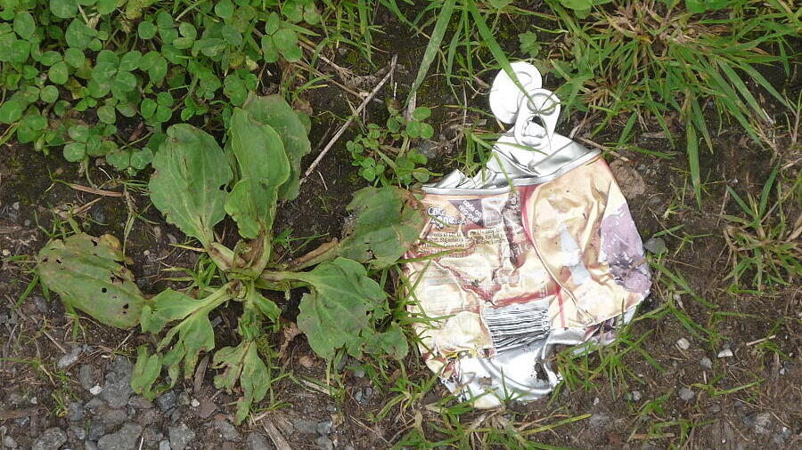 Weggeworfene Aludosen sind für Tiere eine Gefahr.