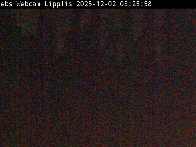 Lipplisbüel Muotathal