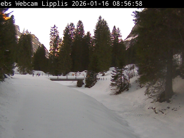 Lipplisbüel Muotathal