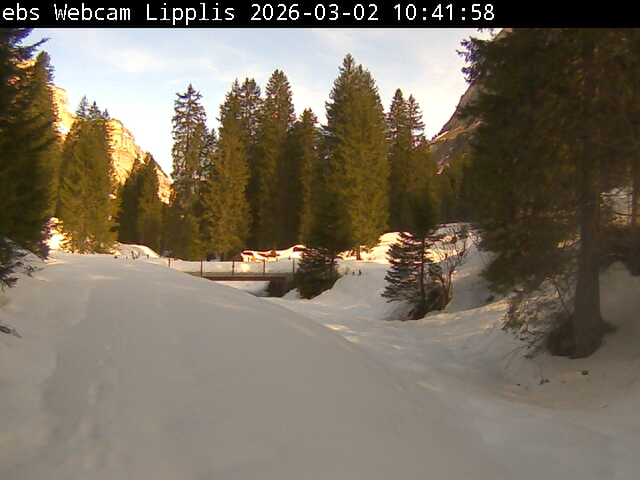 Lipplisbüel Muotathal