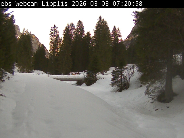 Lipplisbüel Muotathal