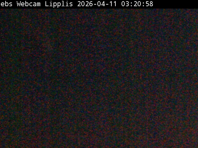 Lipplisbüel Muotathal