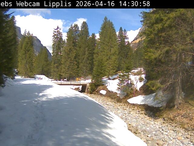 Lipplisbüel Muotathal