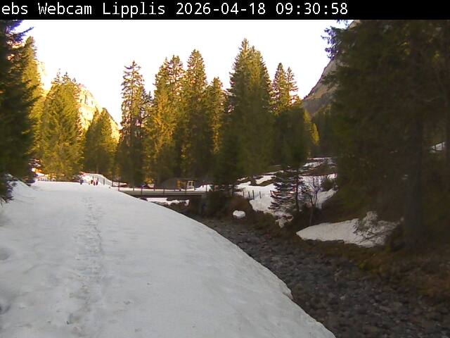 Lipplisbüel Muotathal